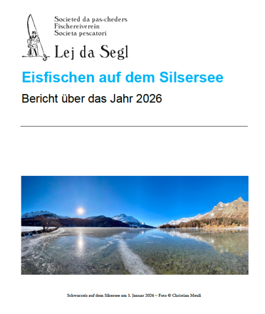 Bericht 2026